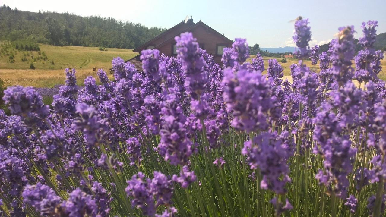 Boutique B&B Japodi Mrkopalj Bagian luar foto